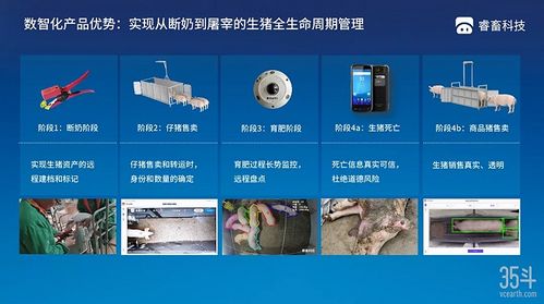 本輪豬周期拐點(diǎn)已現(xiàn),3萬(wàn)億生豬市場(chǎng)數(shù)字化價(jià)值幾何