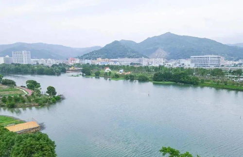 優(yōu)秀 臺州再捧這項大獎